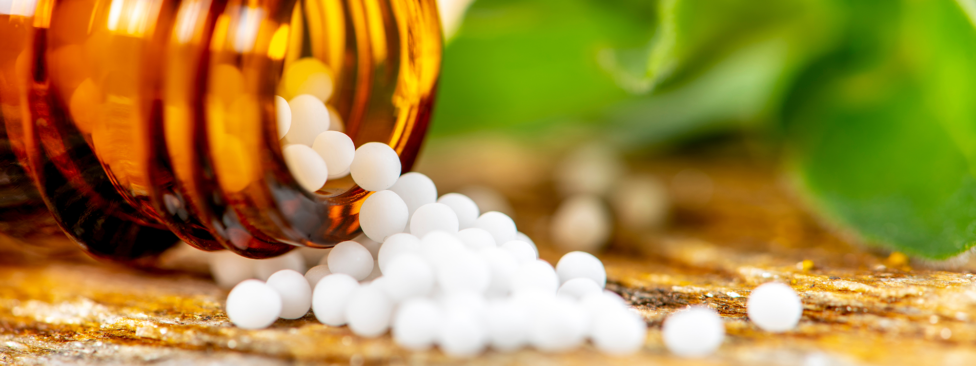 The Scientific Standard and Homeopathy’s Book of Secrets Center for