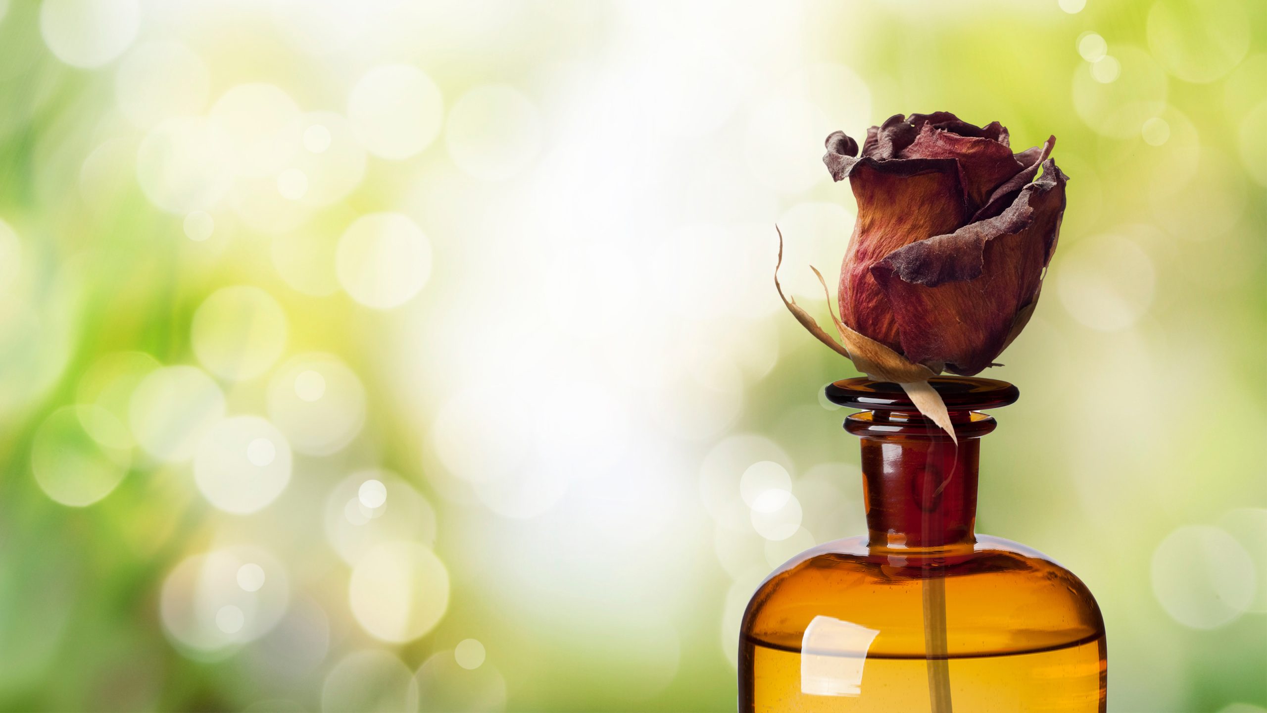 The Devil’s Baby of Ravenswood The Devil’s Baby of Ravenswood