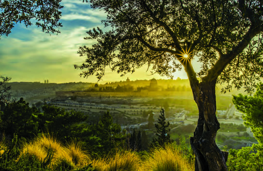 Judaism: Naturalism, Neurology, and Narrative - Vimarsana News