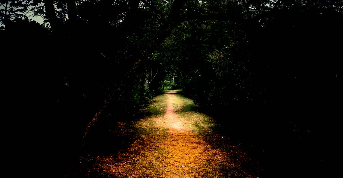 On Choosing a Code to Live By: A Midnight Snack with the Flower of Toledo - Vimarsana News